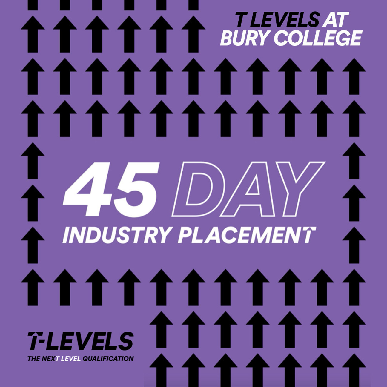 T Level 45 day industry placement
